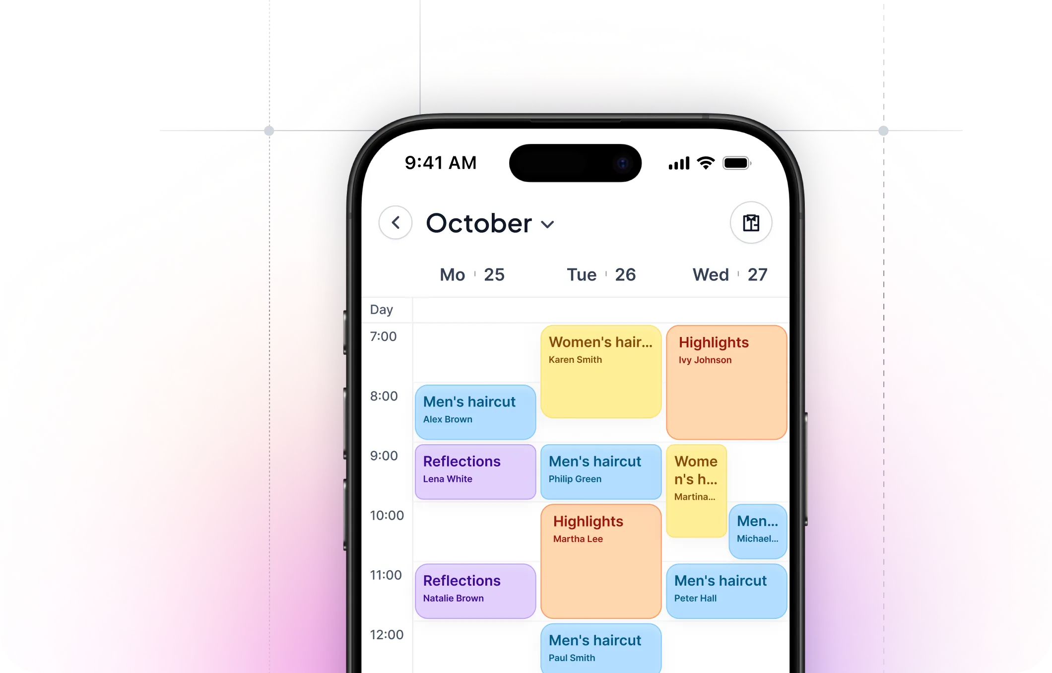 Salona Pro app