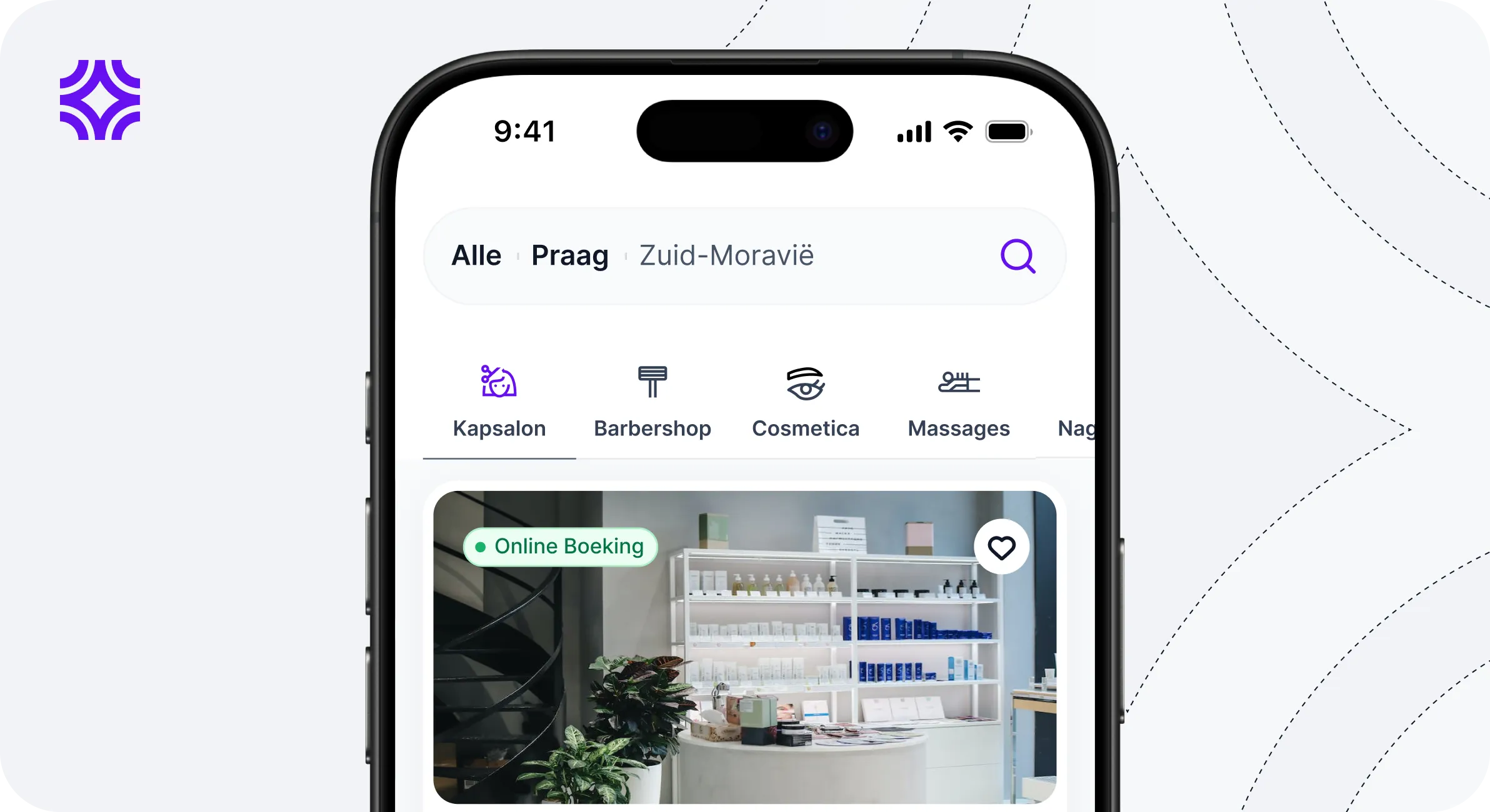 Salona Pro screenshot