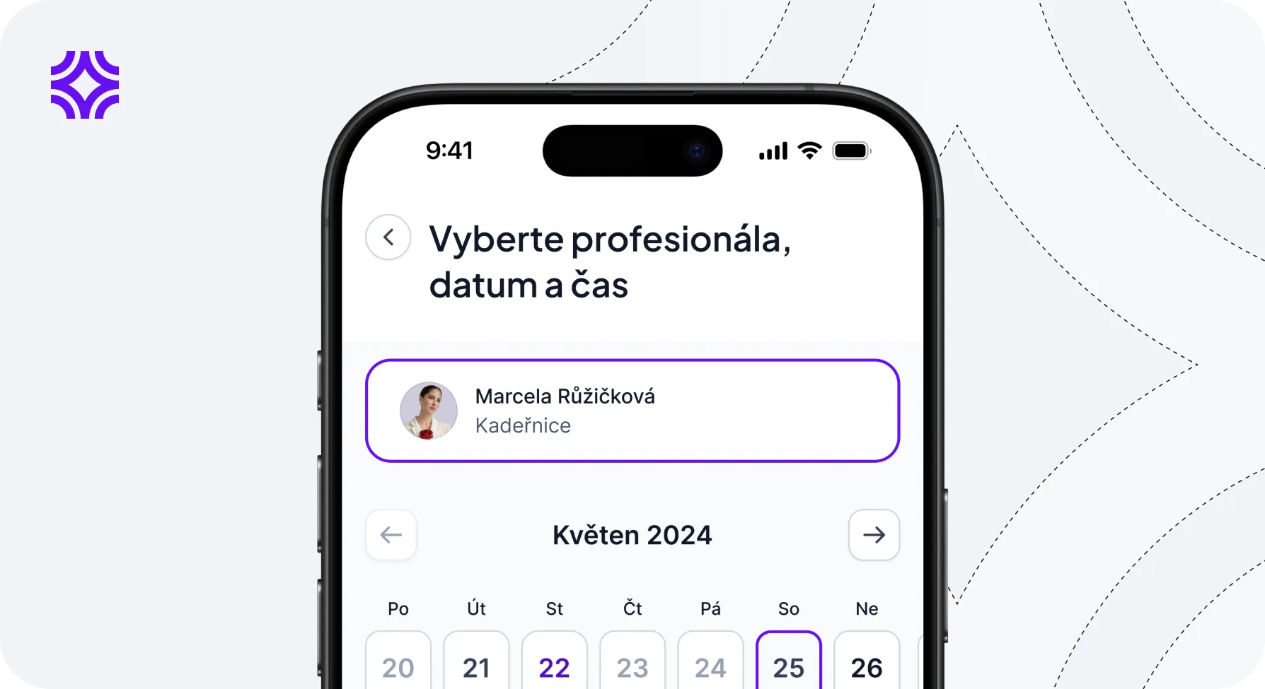 Salona Pro screenshot